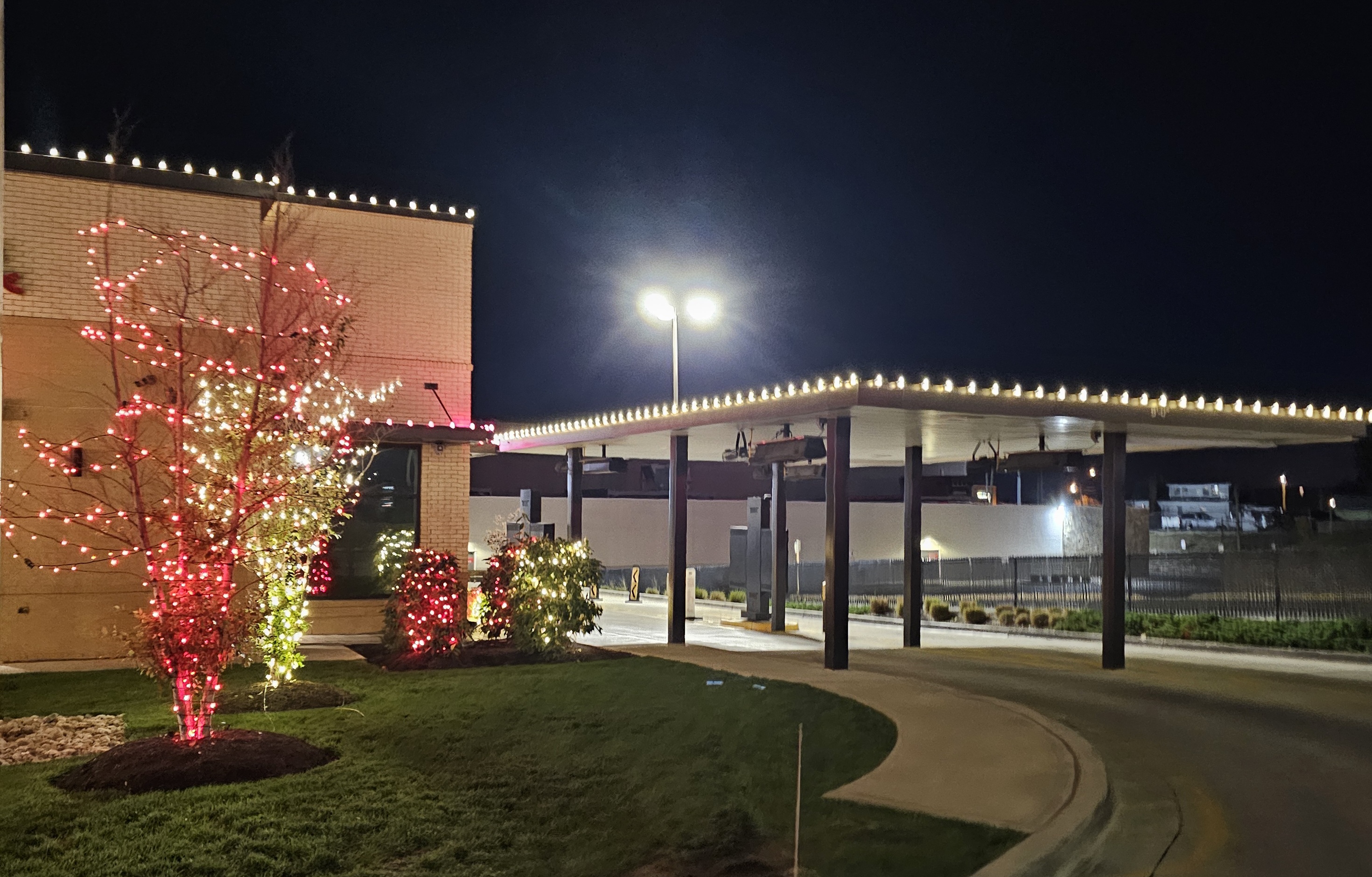 The canopy is the tricky part on a commercial install — one continuous run, no sag, straight over the drive-through. Out front, a bare tree wrapped in red and white.