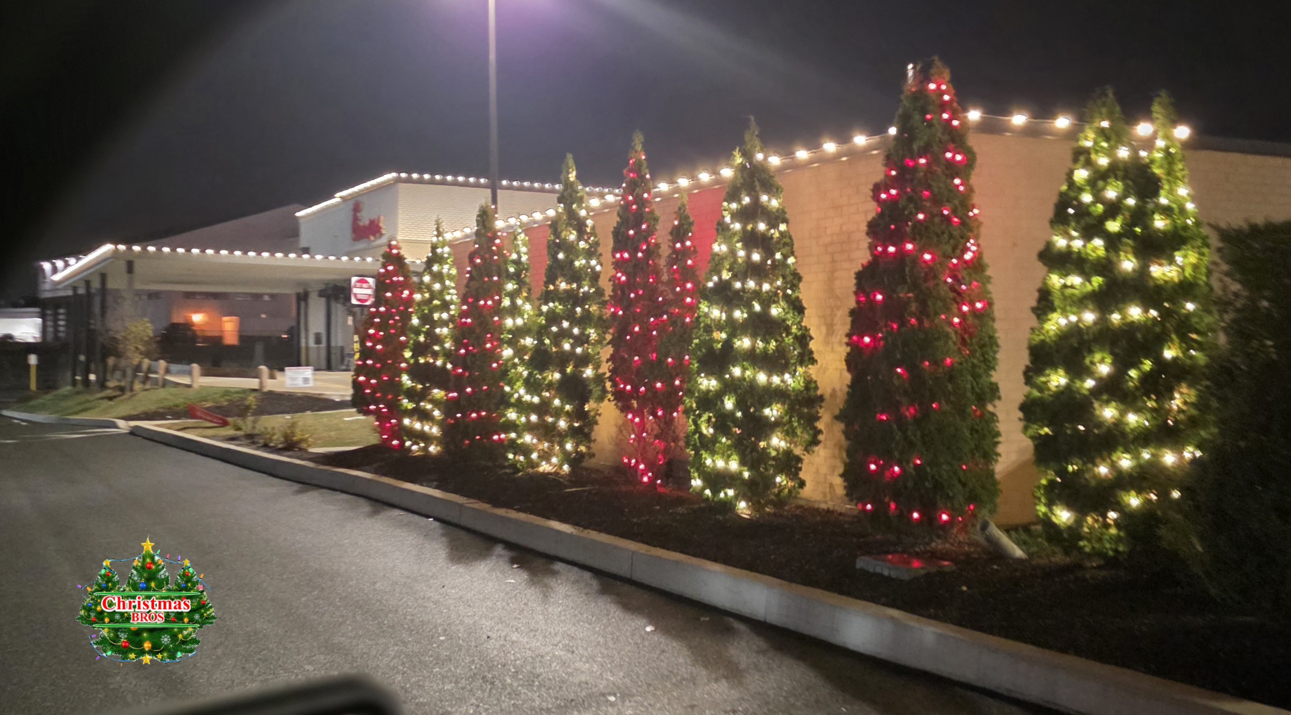 A row of evergreens alternating red and white down the length of the building, with a warm white run holding the roofline above them.